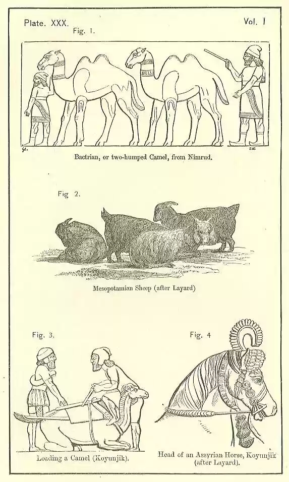 plate030